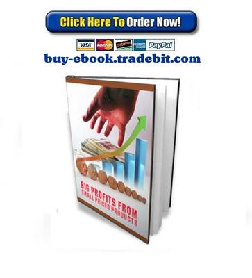 Product picture Big Profits From Small Priced Products 