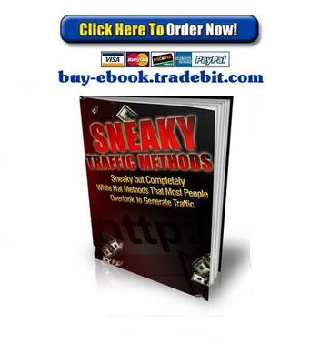 Product picture Sneaky Traffic Methods
