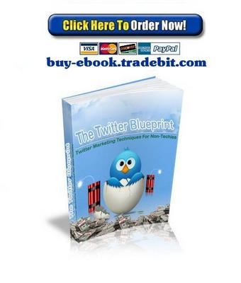 Product picture The Twitter Blueprint 