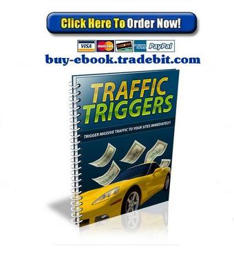 Product picture Traffic Triggers