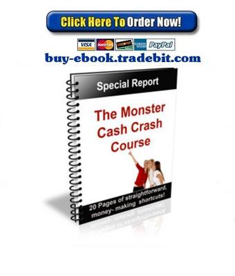 Product picture The Monster Cash Crash Course
