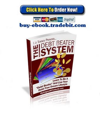 Product picture The Debt Beater System