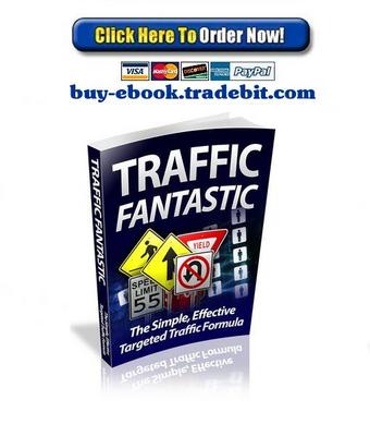 Product picture Traffic Fantastic