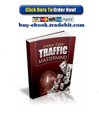 Product picture Traffic Mastermind