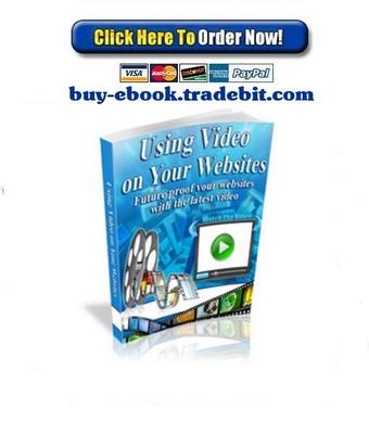 Product picture Using Video on Your Websites